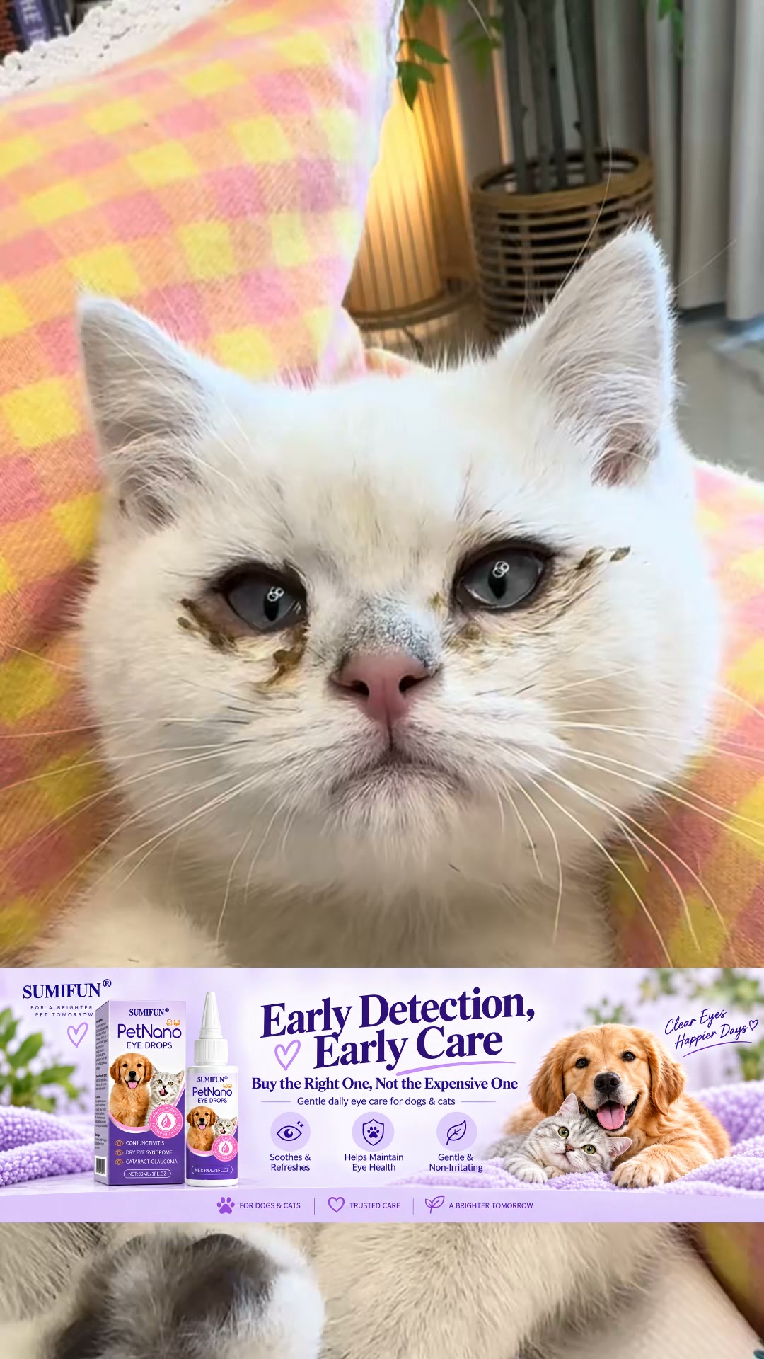 Don’t Wait Until Their Eyes Look Worse