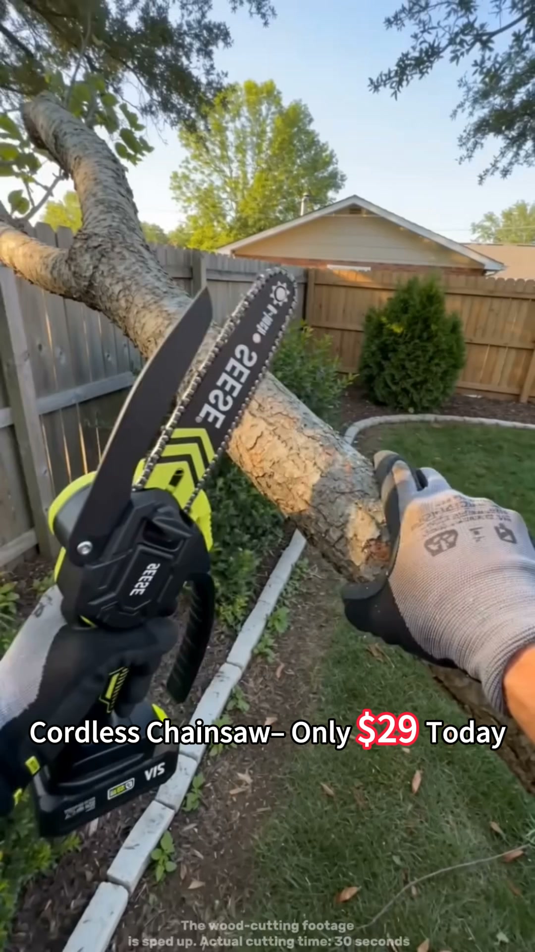 6-Inch Cordless Mini Chainsaw
