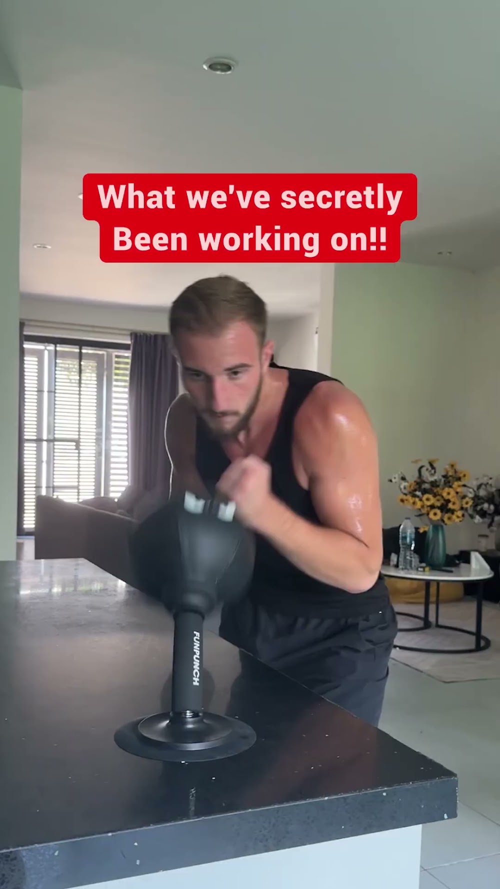Meet FUNPUNCH PRO