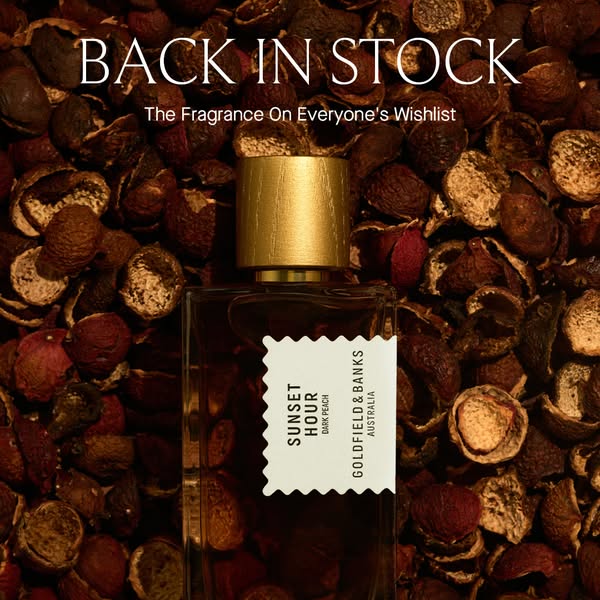 Back In Stock | Sunset Hour Dark Peach