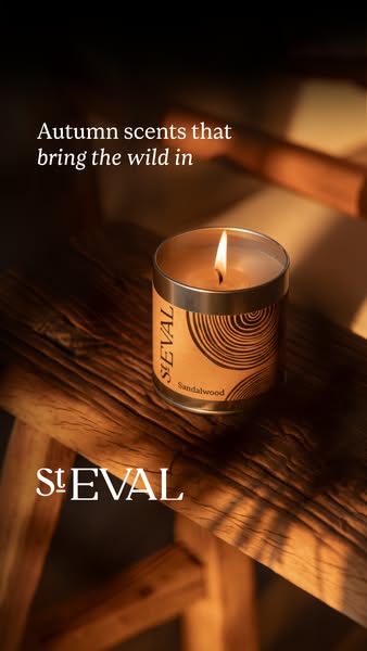 Bring the wild in