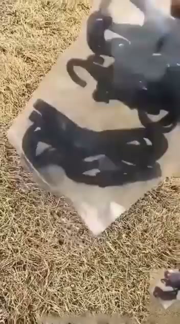 Anúncio de Repeatto