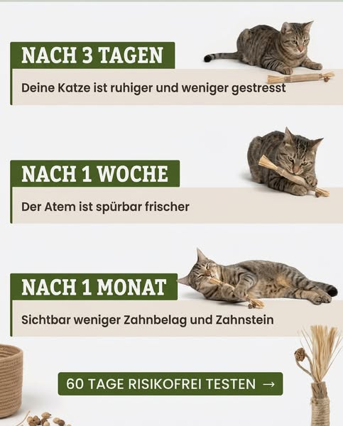 Nur heute: 70 % RABATT