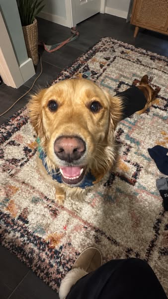 PLEASE do not use a water bowl!