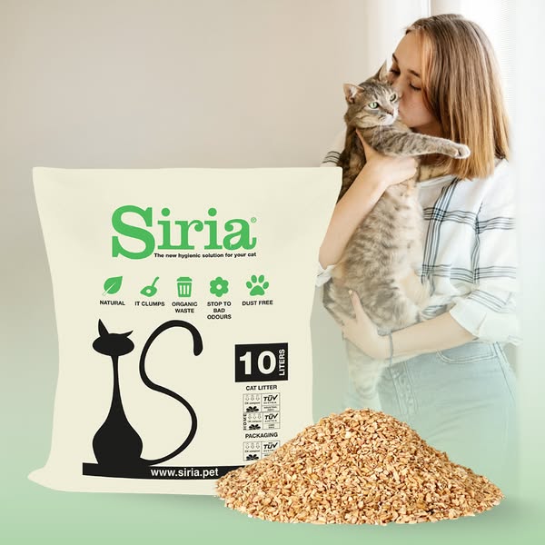 Lettiera per gatti vegetale smaltibile nell'umido