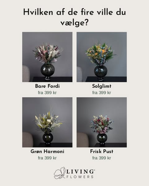 Hvilken af de fire ville du vælge?