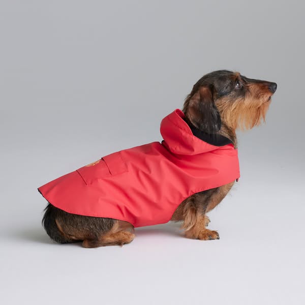Manchester United Dog Jacket Red