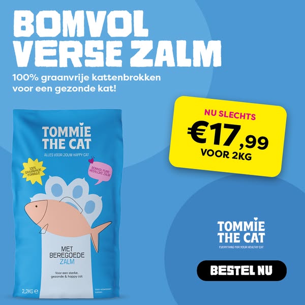 100% graanvrije kattenbrokken met verse zalm voor €17,99