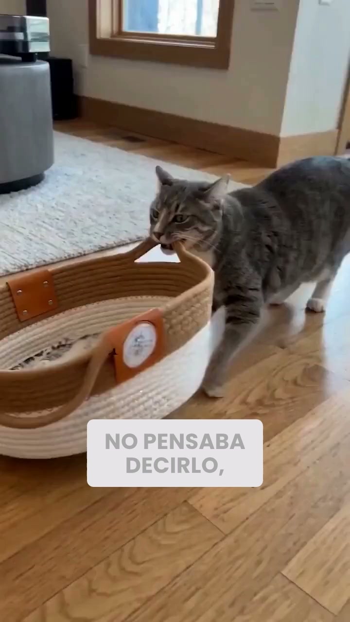 Lo que sus uñas llevaban tiempo buscando