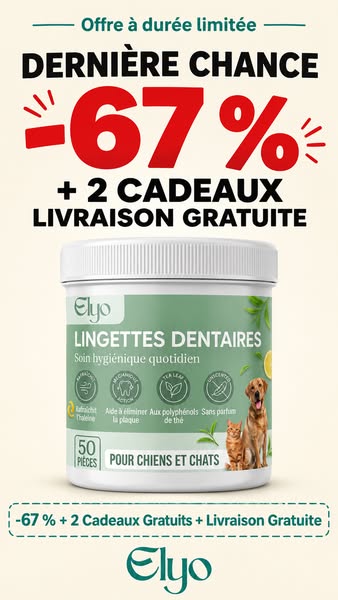 Offrez à votre chien une vie plus saine et plus heureuse