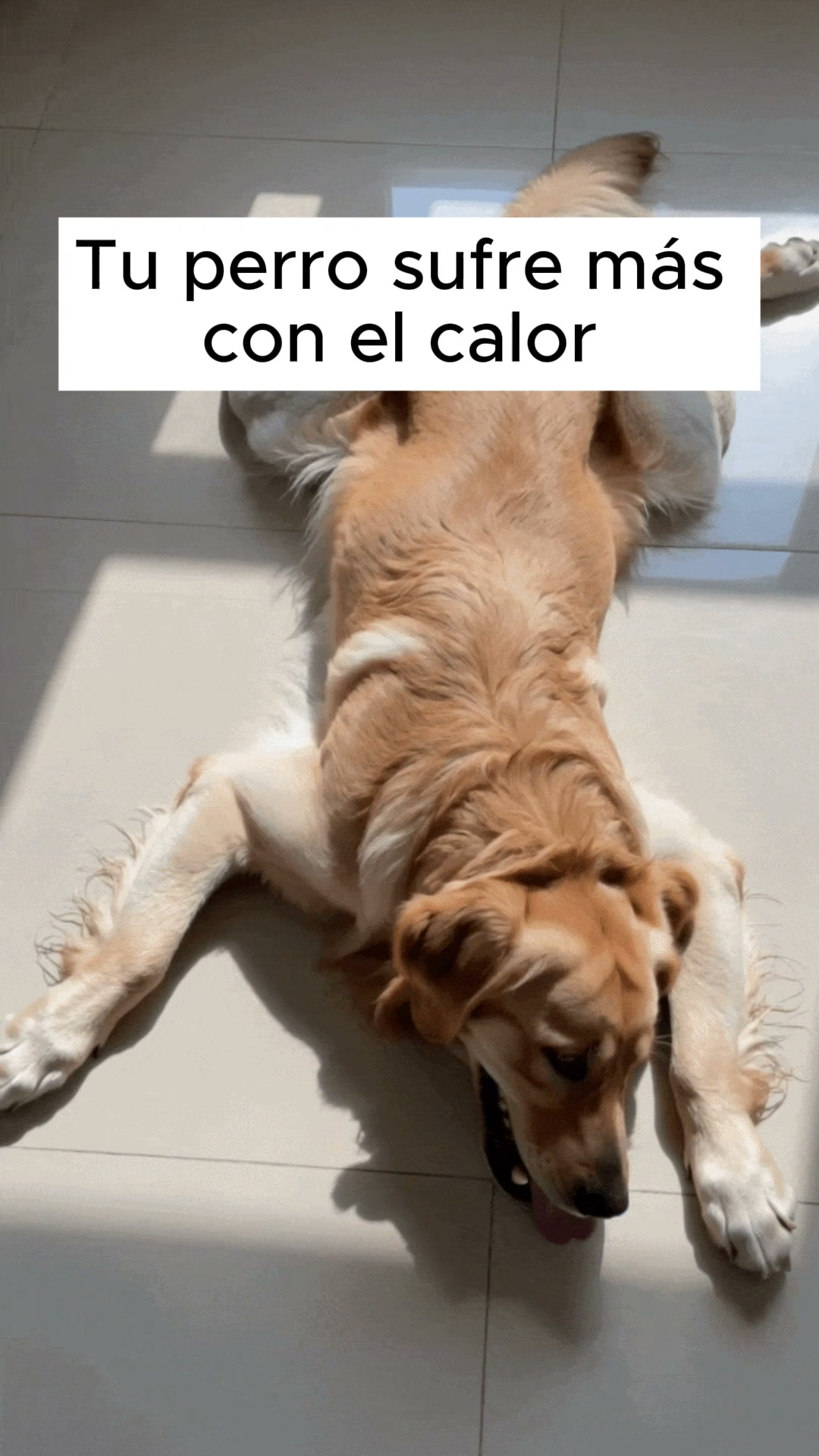 Dale su rincón fresco este verano