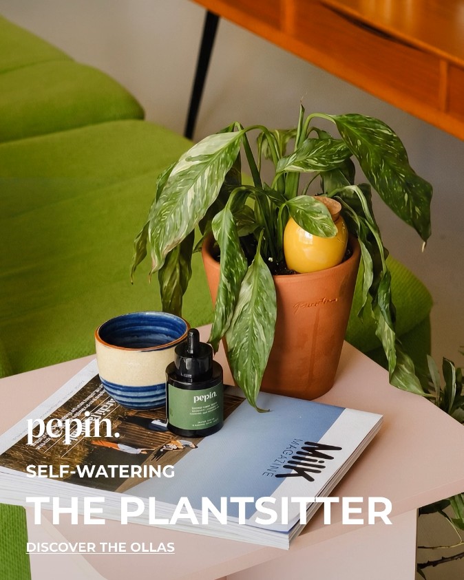 Plants that water themselves