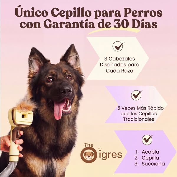 Cuida a tu Mascota