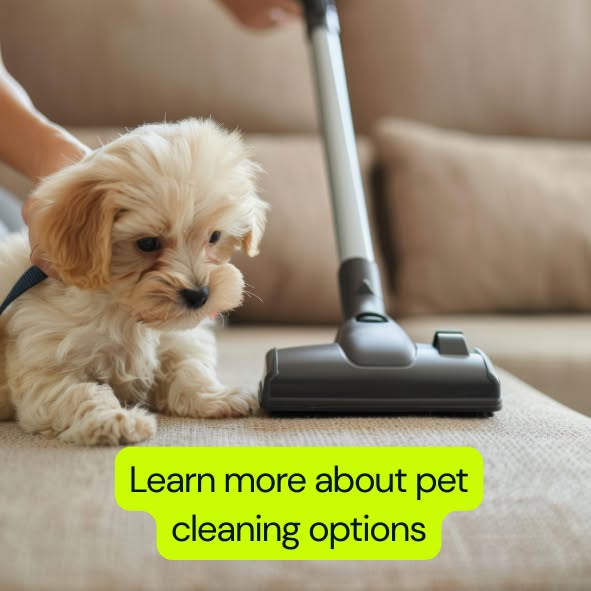Learn more about pet cleaning options