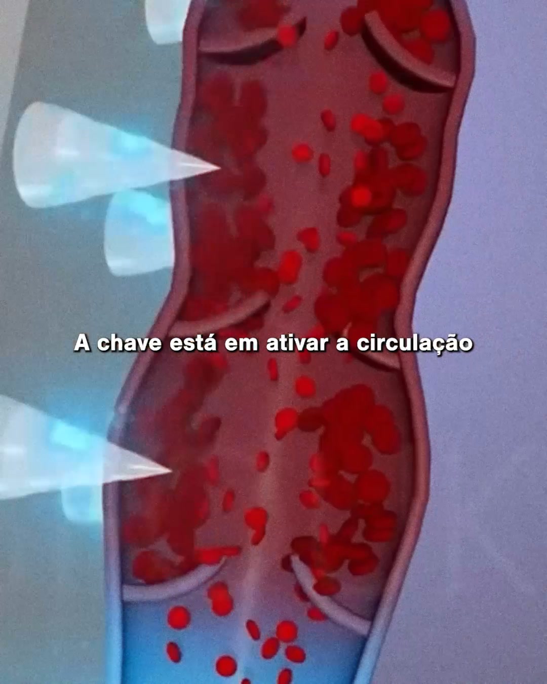 Cobrança Disponível