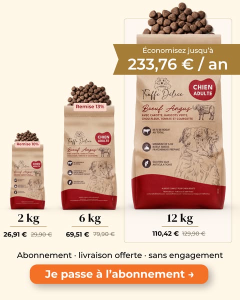 Des croquettes qui prennent soin de votre chien