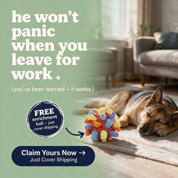 He's not a bad dog — he's bored. 10 min of sniffing tires his brain more than a walk WoofBalls FREE — just cover shipping.