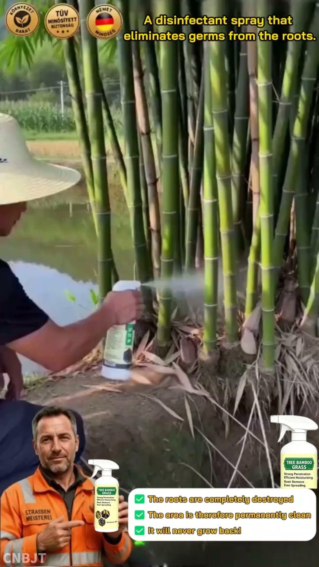 One spray kills the weeds completely.