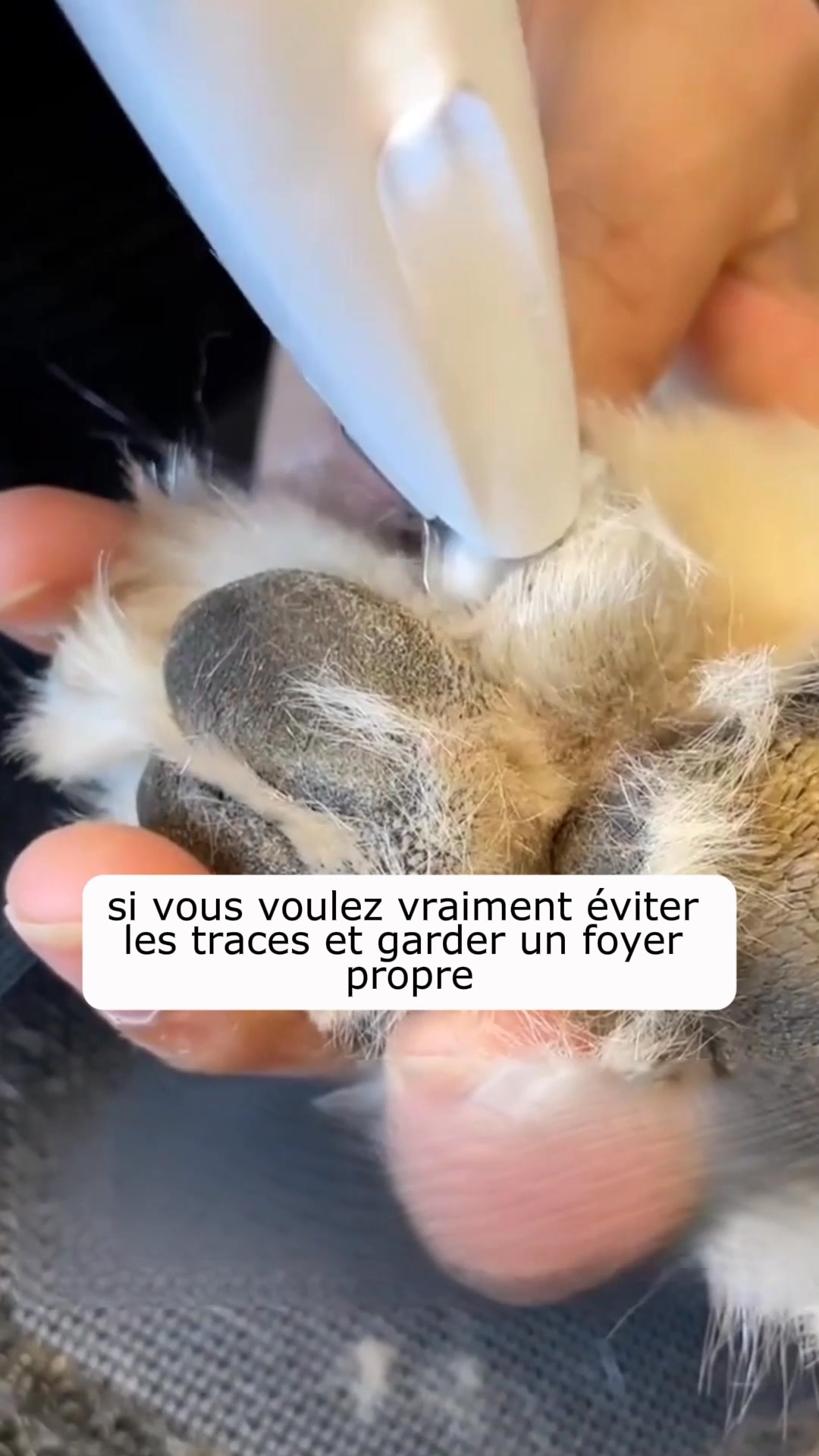 Recommandé par vétérinaires
