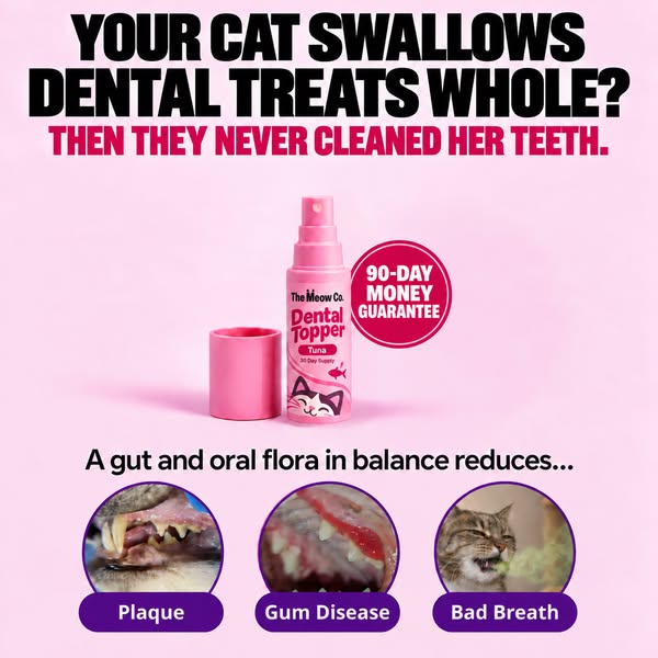 Your cat swallows dental treats whole. They never cleaned her teeth.