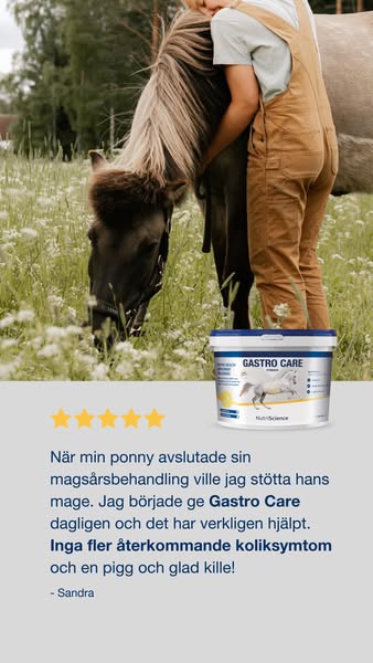 Skydda hästens mage med Gastro Care