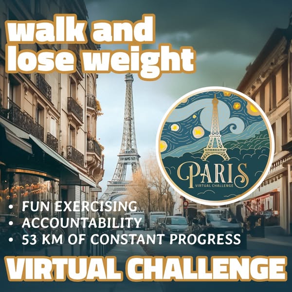Paris Virtual Challenge