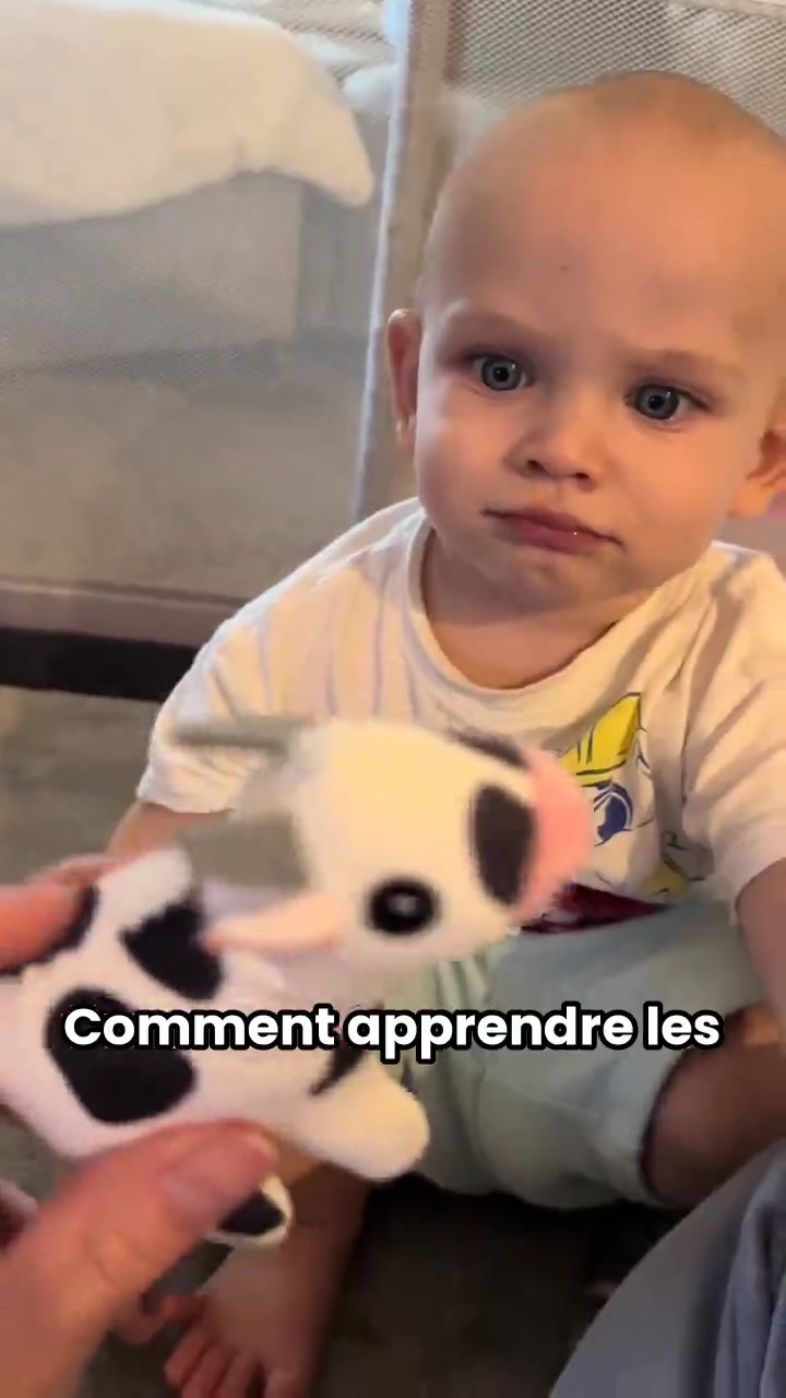 Apprendre les animaux à bébé, sans écran
