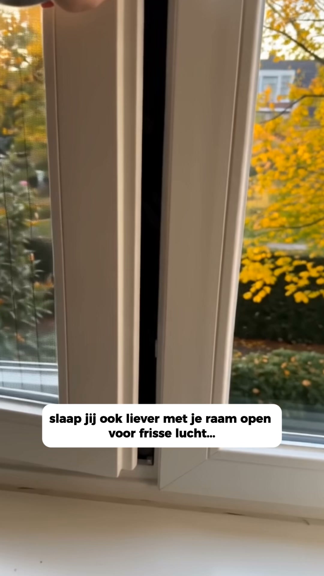 Maak jouw raam insectvrij