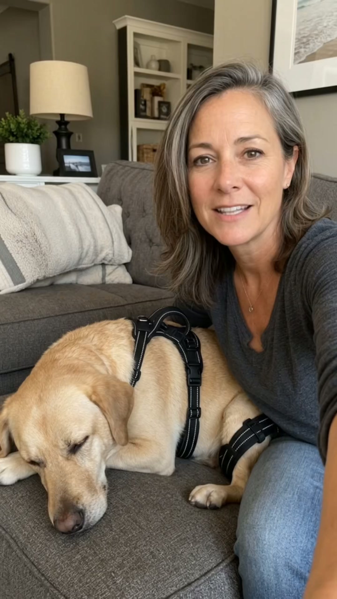 Vet Recommended Dog Mobility Support
