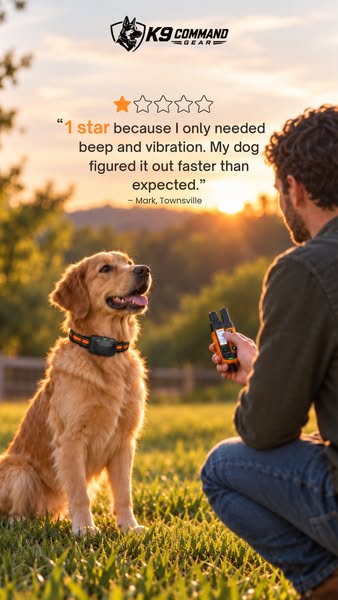 Don't Let a Barking Complaint Become an Eviction Notice