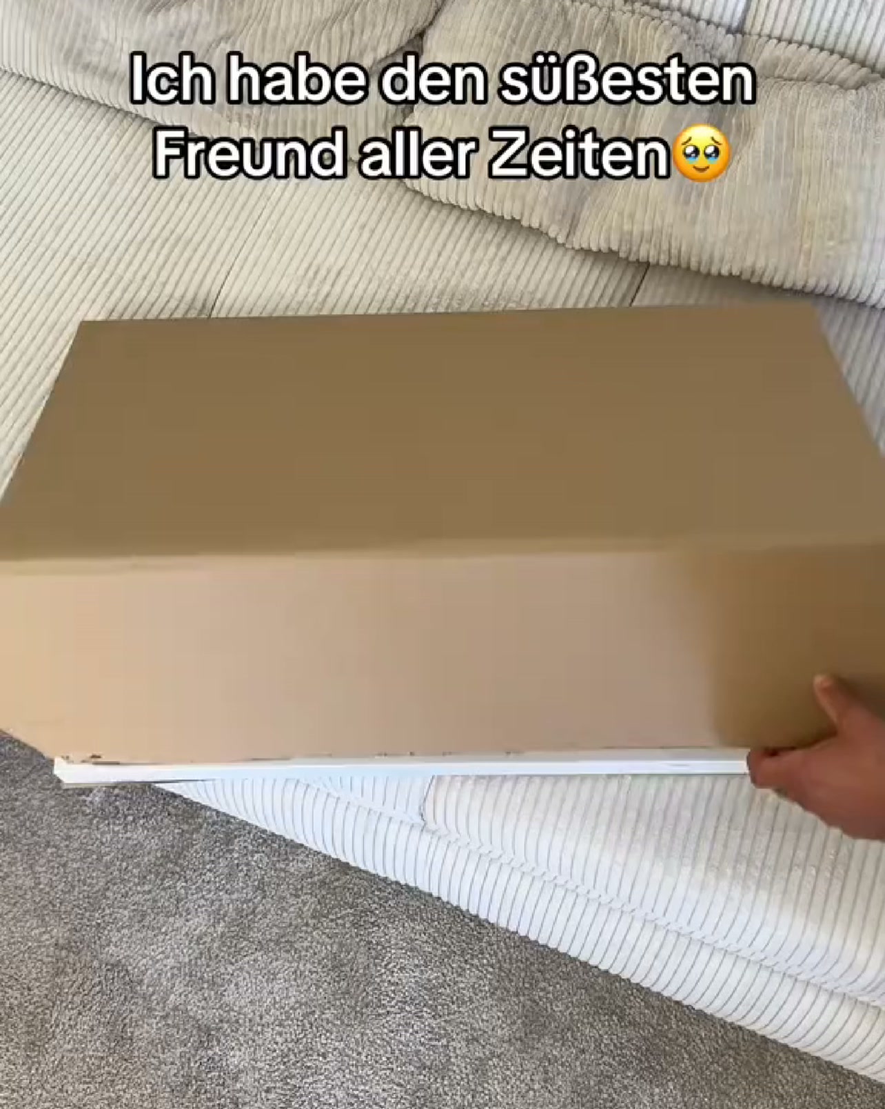 Jetzt bestellen