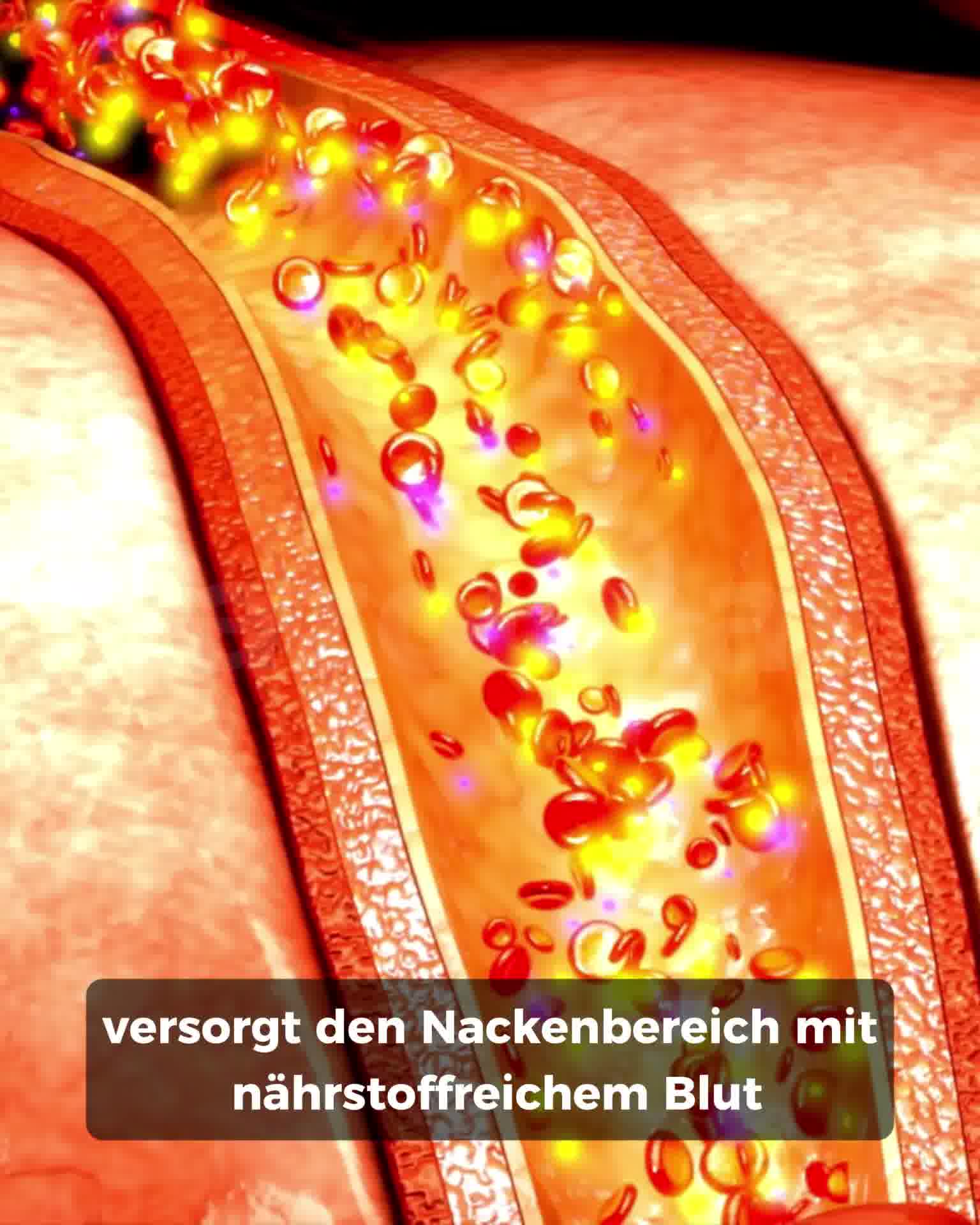 Heute Beschwerden lindern | 40% Rabatt