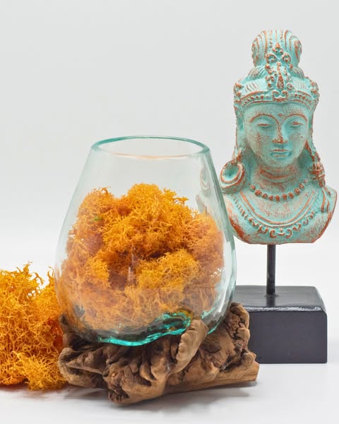 Vases en Verre Fondus sur Racine - AWGifts France - Votre grossiste de Cadeaux dans toute l'Europe
