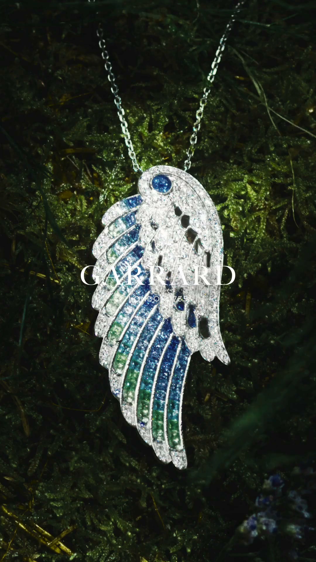 The Wings Collection