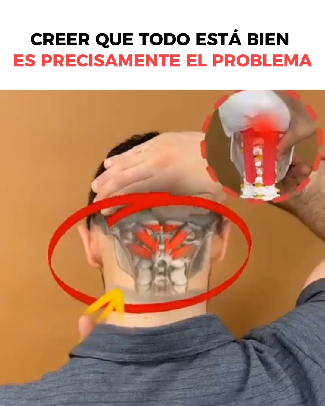 Por Qué Mareos, Taquicardia y Reflujo A Menudo Empiezan en el Cuello?