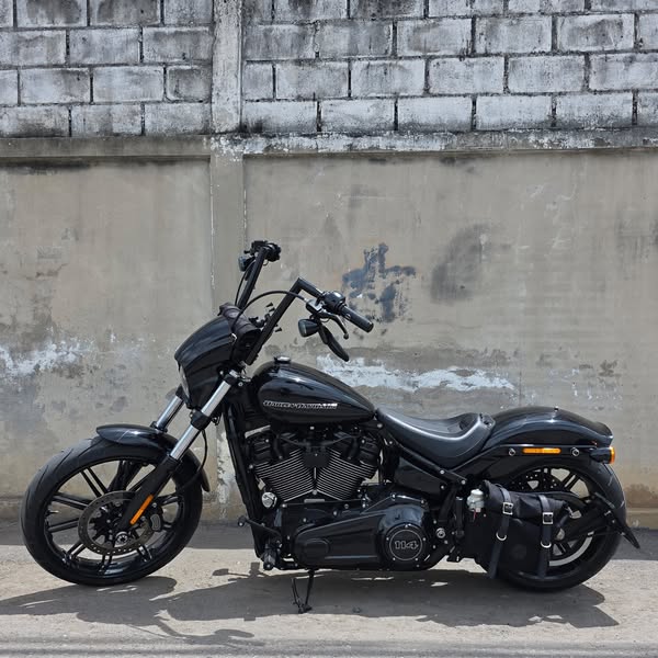Harley Swingarm Bag!