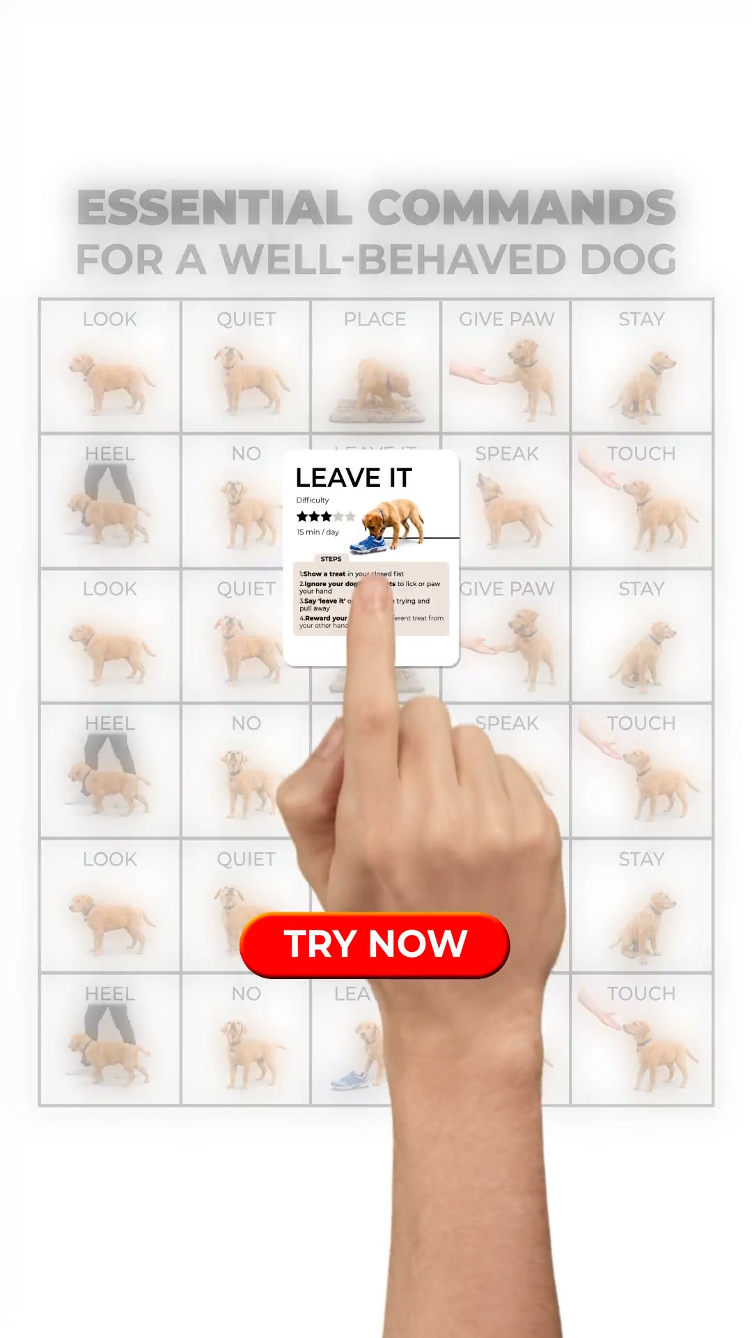 Professional Dog Training Made Simple