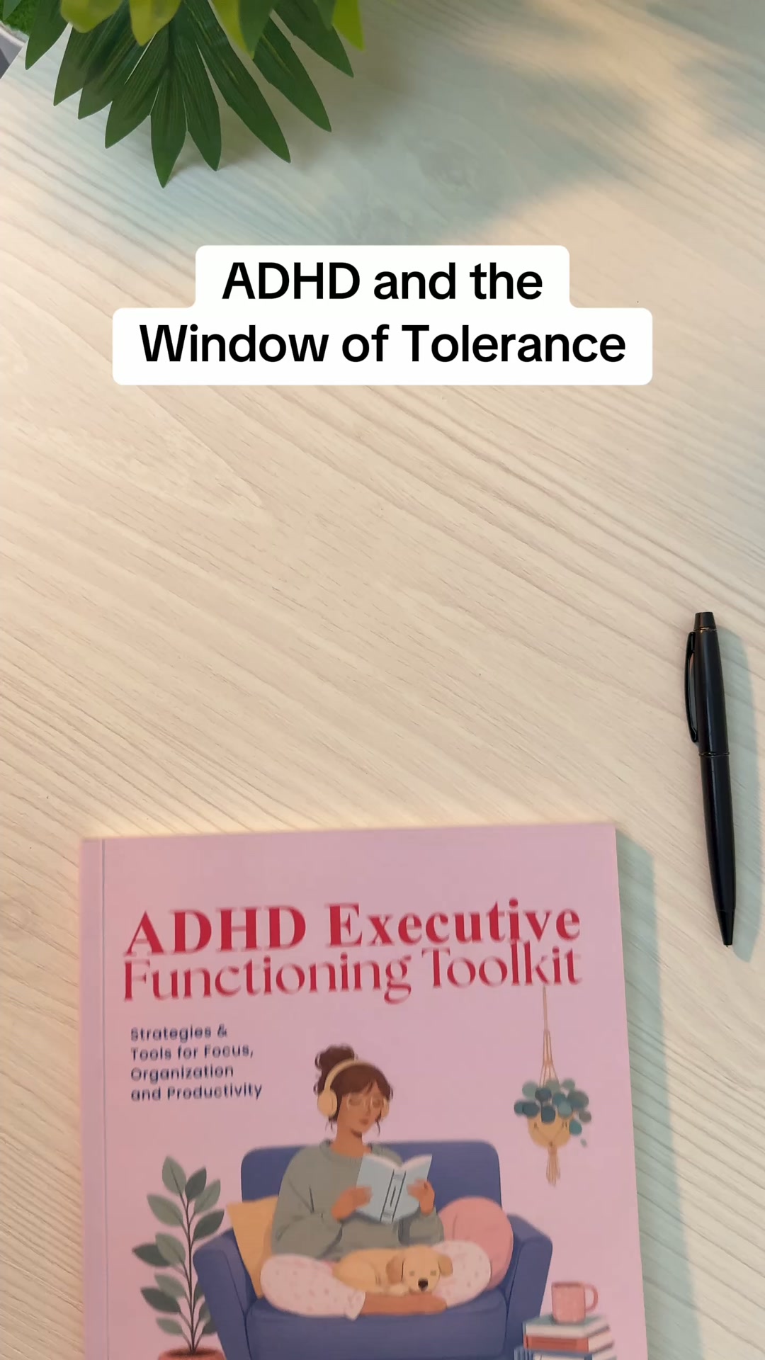 ADHD and the window of tolerance - get the tools to widen yours at 90% off today.
