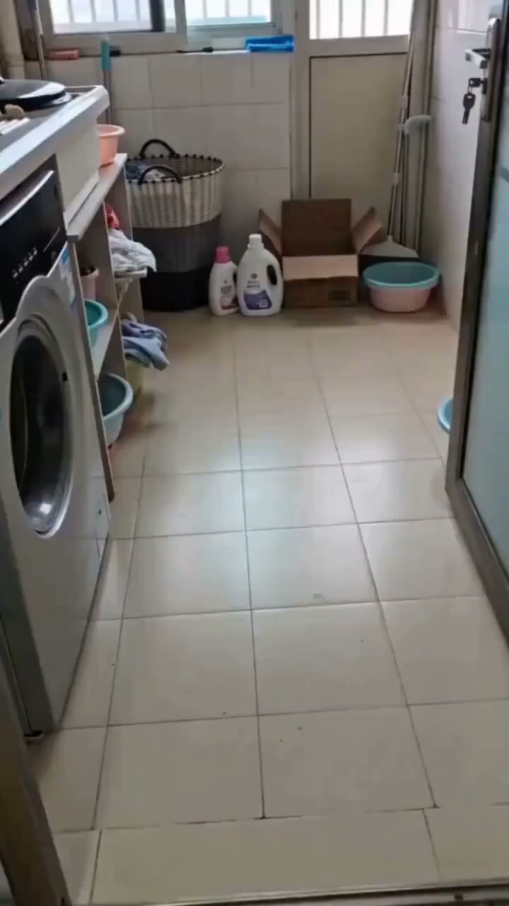 Shop Rodent Repellent Spray