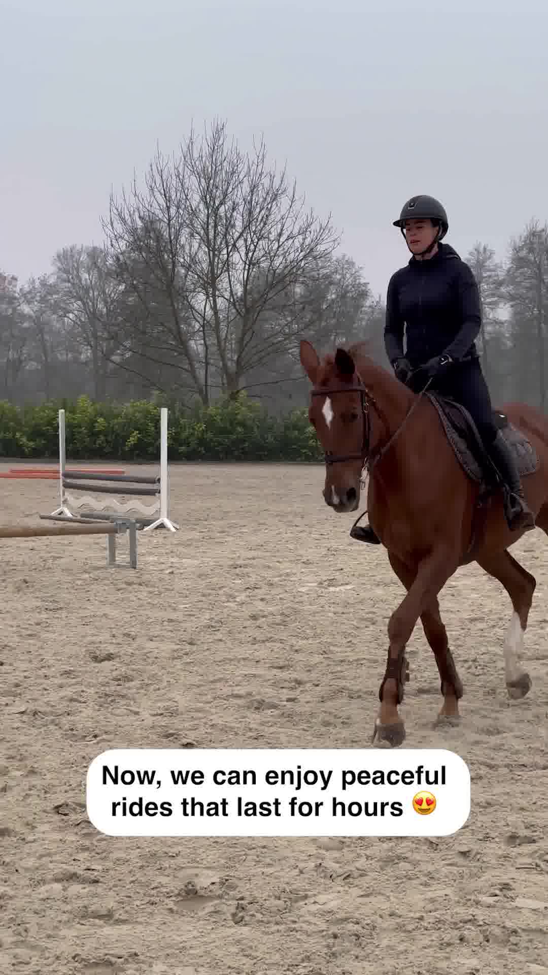 Calm horse = Smooth ride