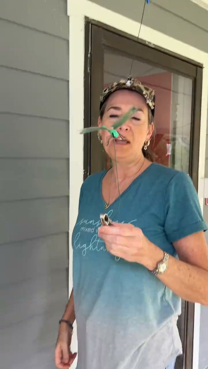 3D Dragonfly Bug Repellent Clips