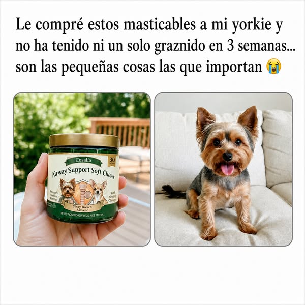 Una operación de 6.000 € o un masticable. Mi veterinario nunca mencionó la opción dos.