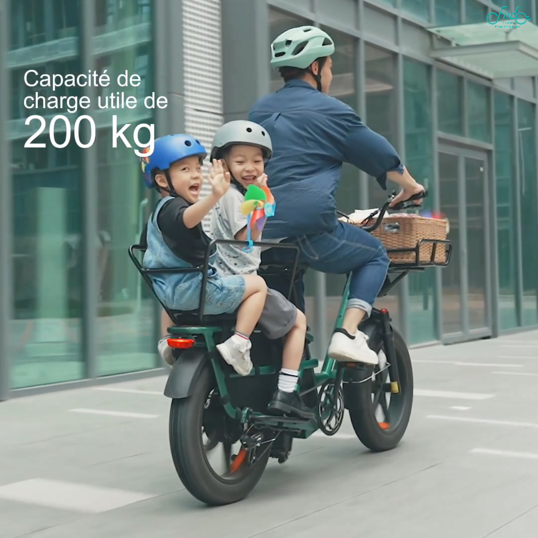 Nouveau Fiido T2 2025 Vélo cargo électrique Longtail