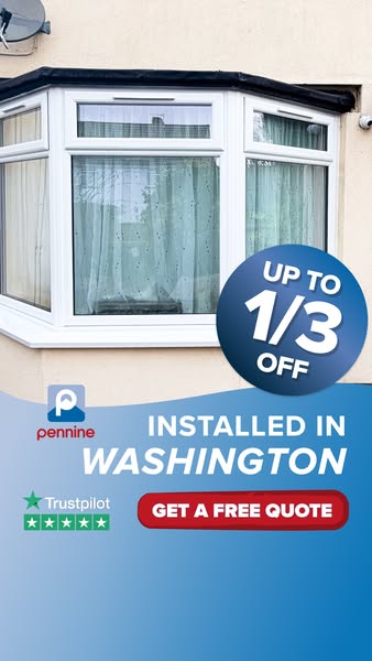 Local Window Specialists
