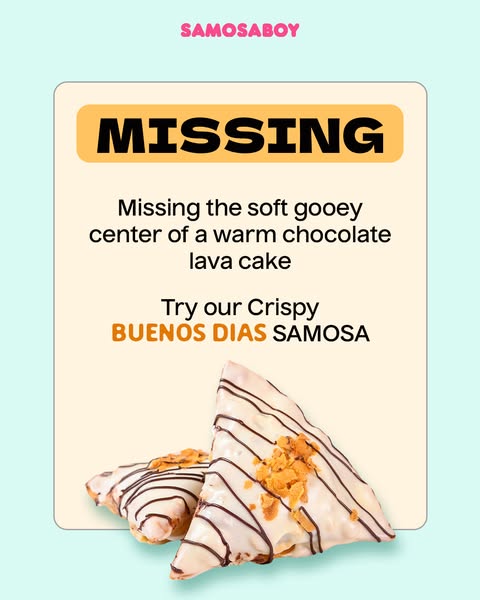 SamosaBoy