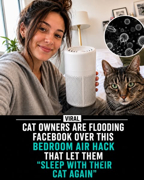 Sleep Better for $89.99