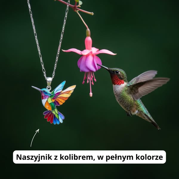 50% Dziś · Darmowa Dostawa