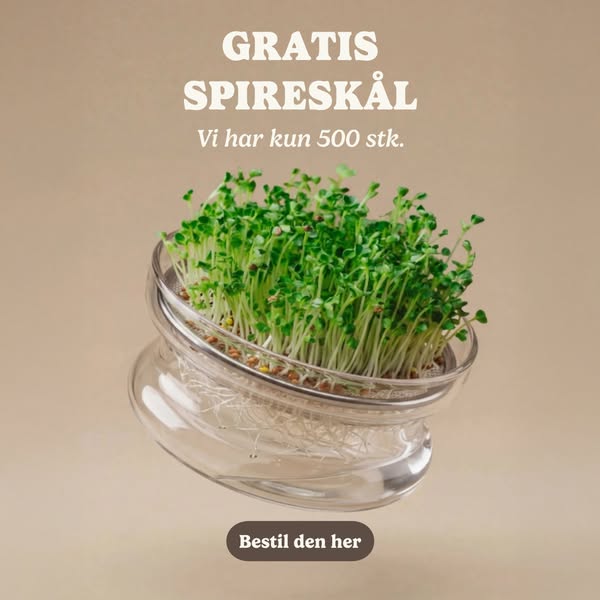 GRATIS SPIRESKÅL (KUN I AUGUST)