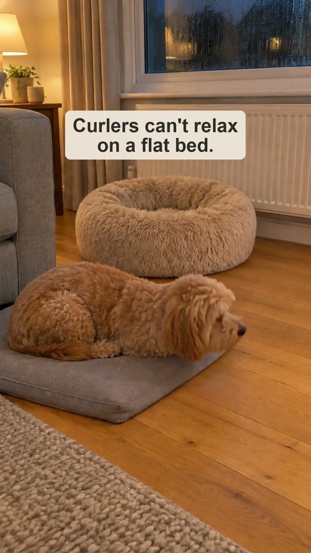 For dogs who sleep curled up