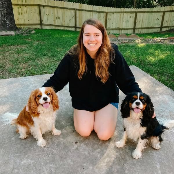 Lost two Cavaliers to MVD. My third has no murmur.